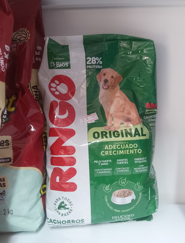Ringo Original cachorros 1k