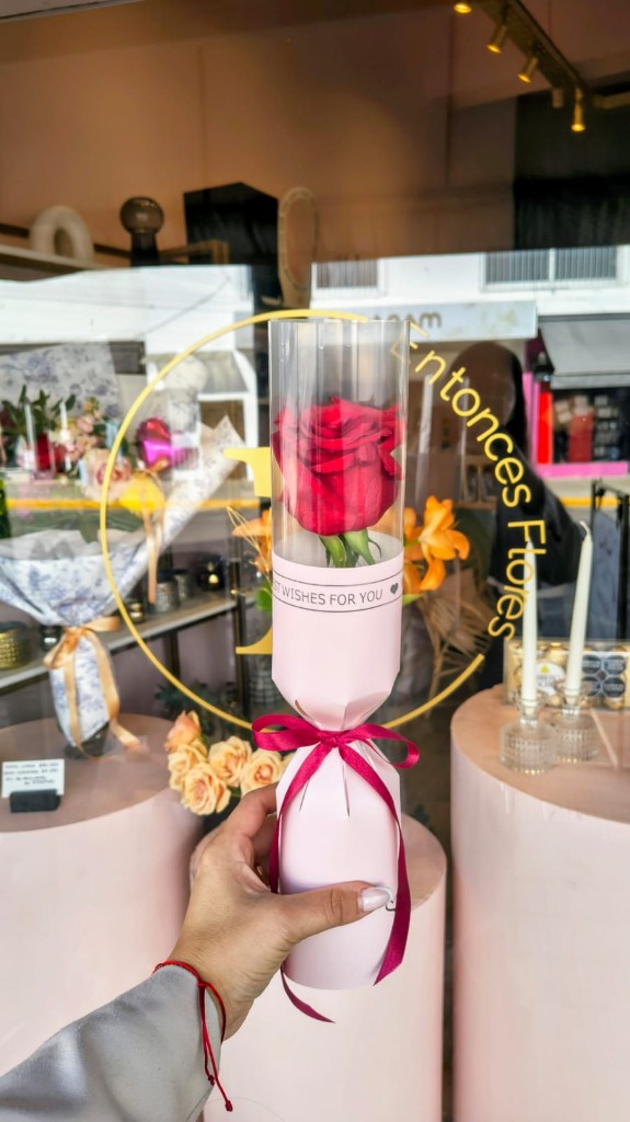 Rosa importada con packaging premium