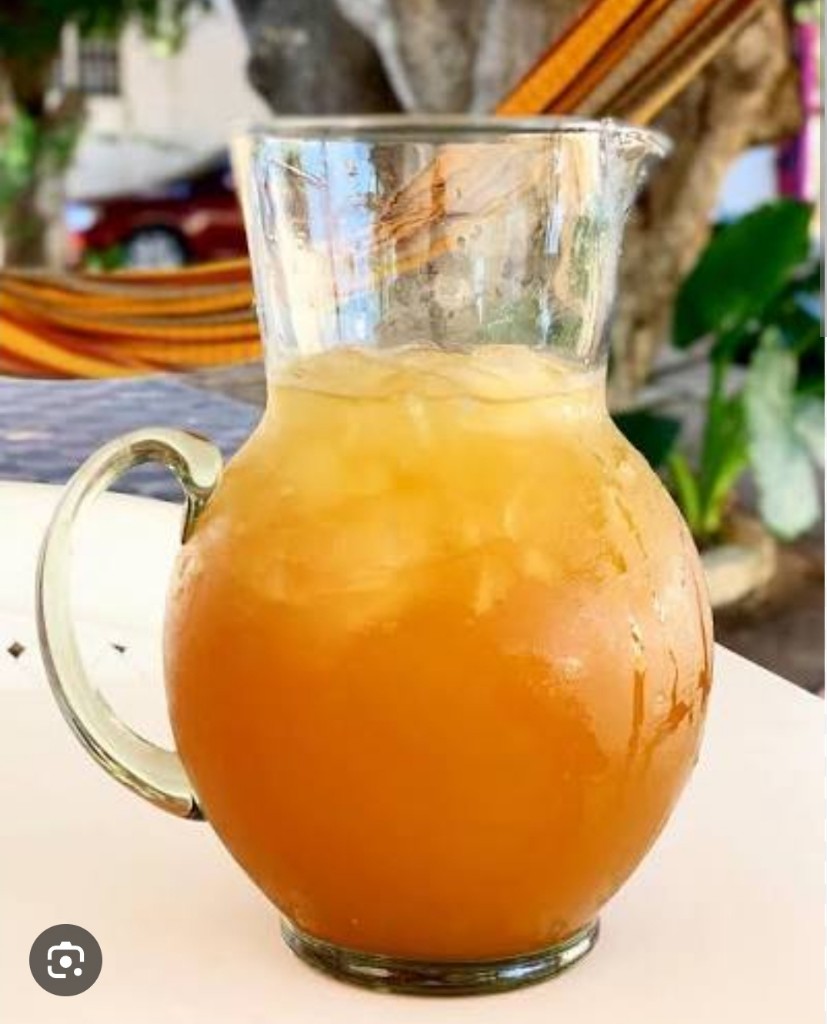 Adición De Jarra De Agua panela