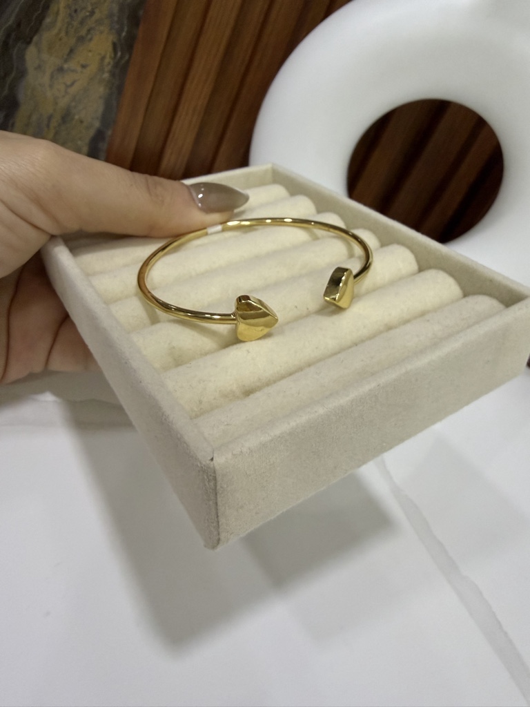 Brazalete 2014