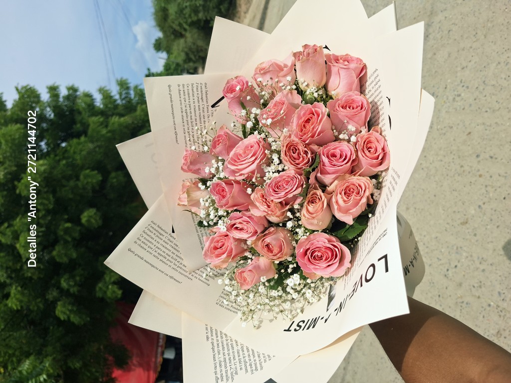 Ramo de 24 rosas rosas