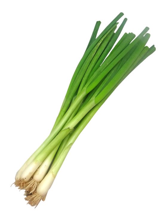 Cebollino