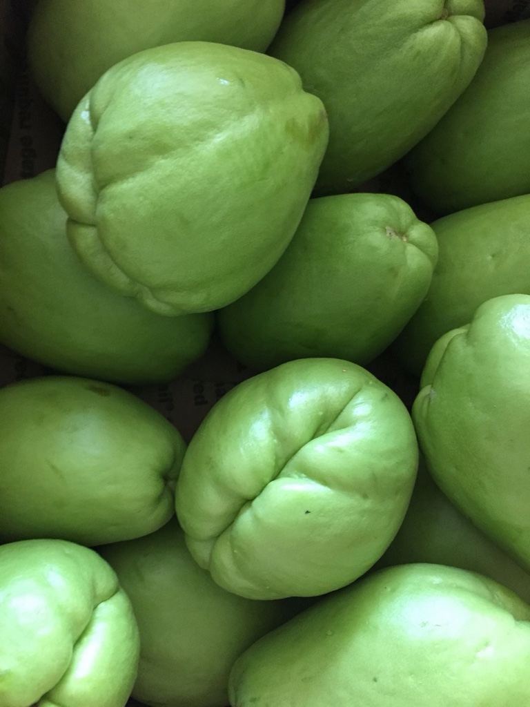 Chayote