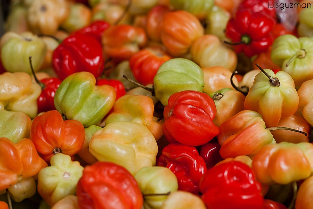 Chile Panameño