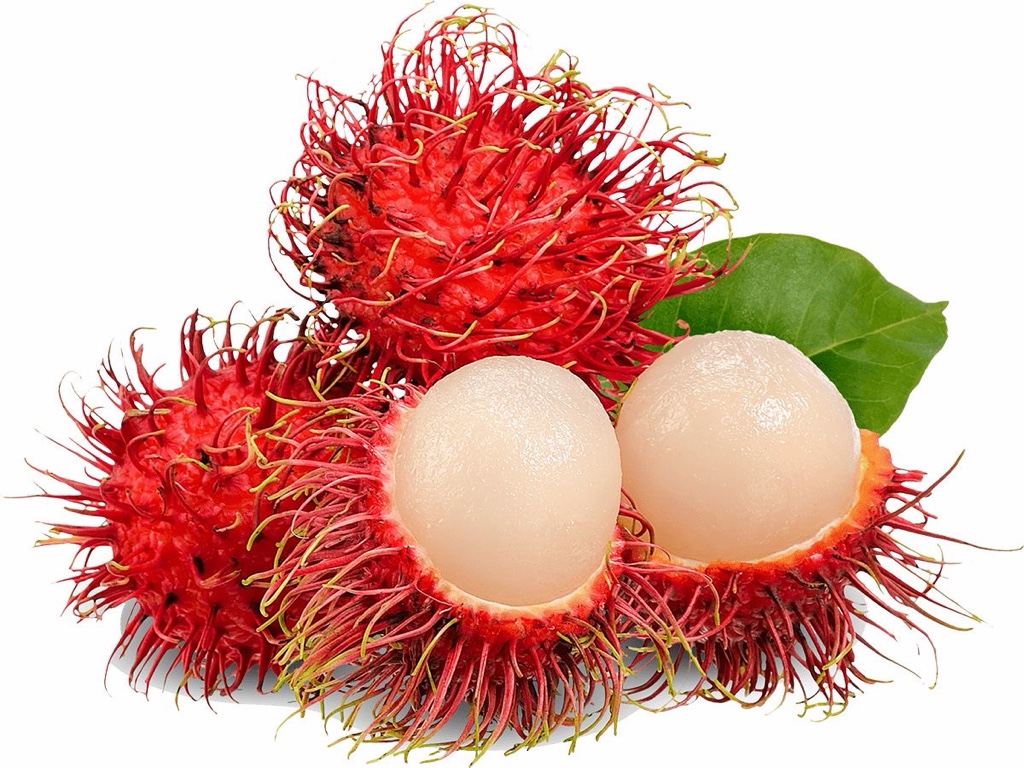 Mamón