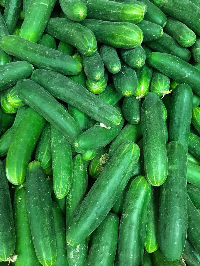 Pepino