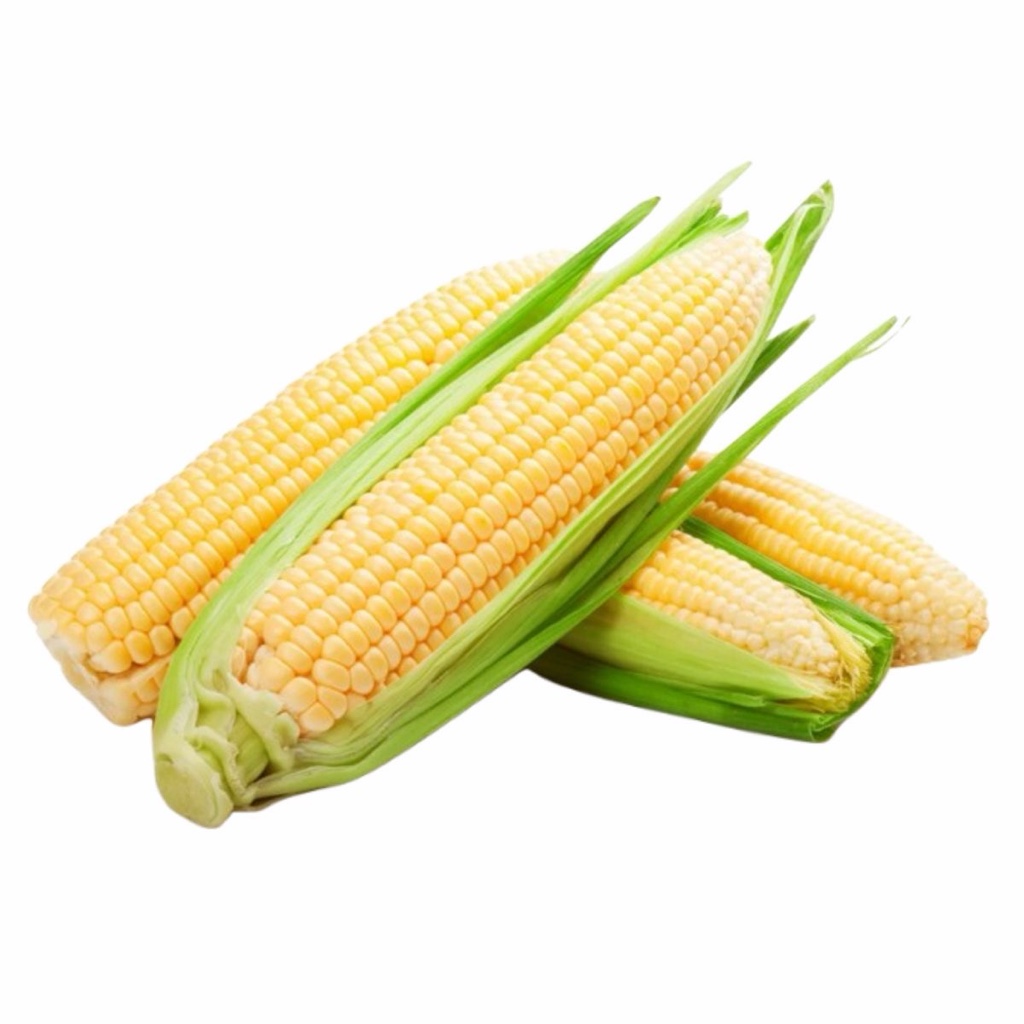 Elote