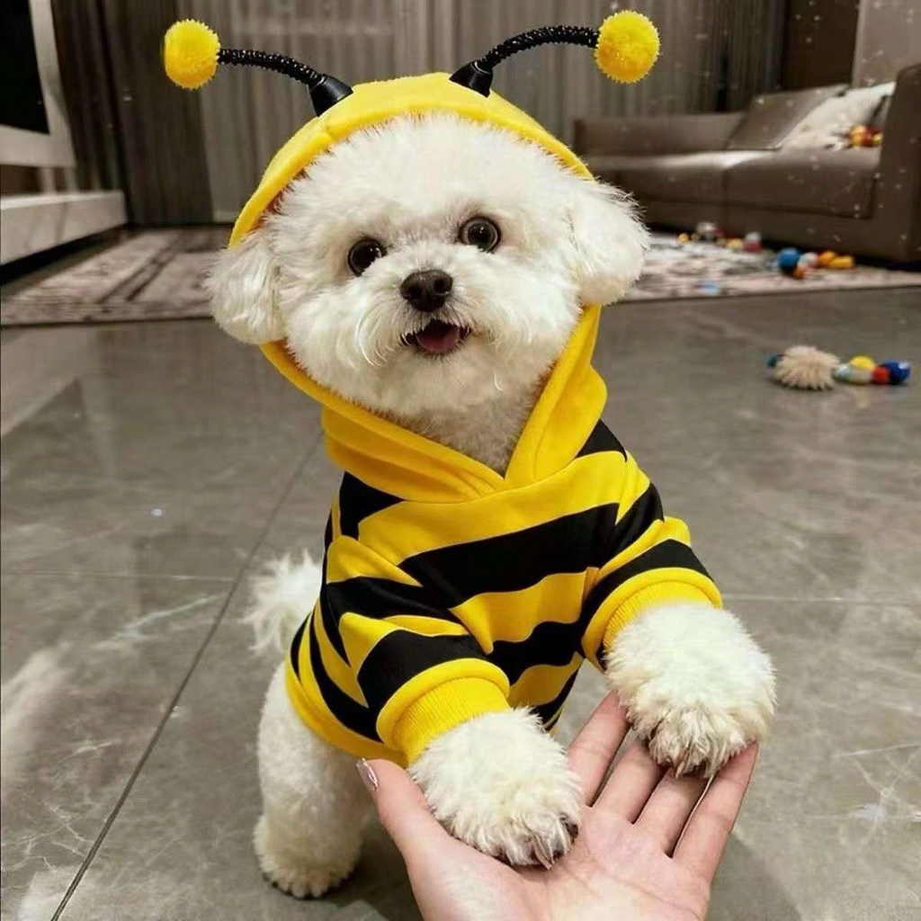 Disfraz abeja para perro