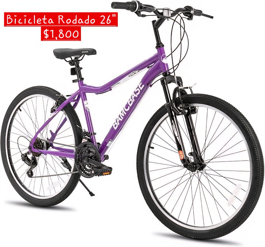 Bicicleta morada Rodado 26
