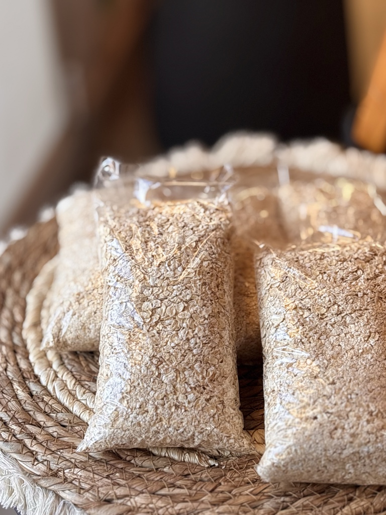 Avena
