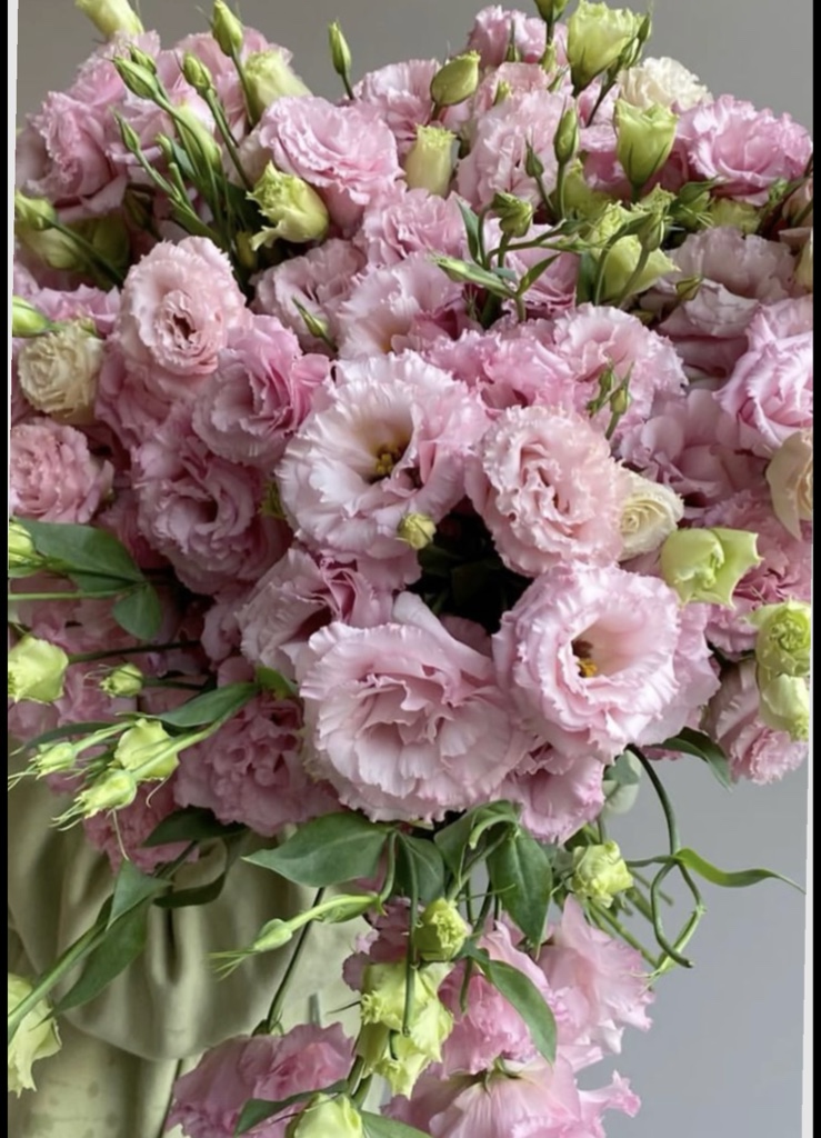 Lisianthus Chino