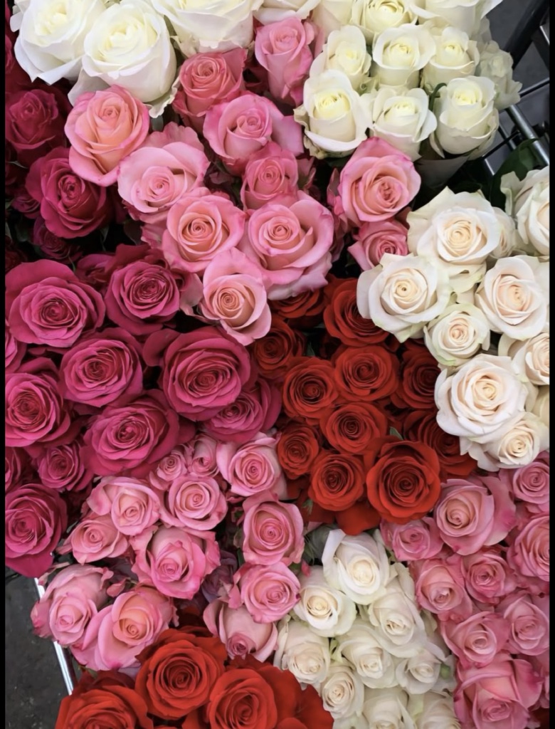 Rosas Nacionales (cualquier color)