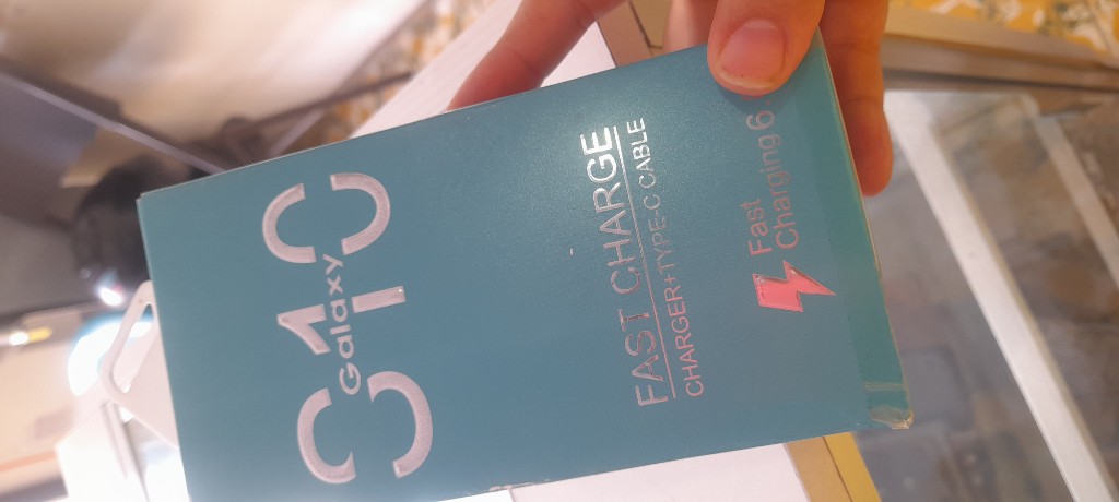 Samsung Galaxy S10 cargador
