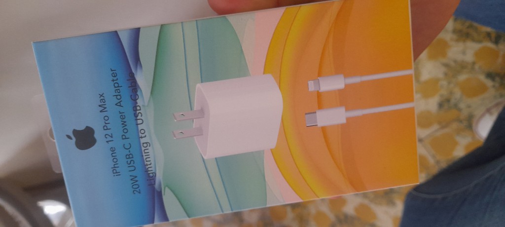 Apple iPhone 12 Pro Max cargador 20W
