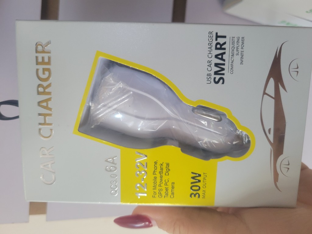 Cargador de carro