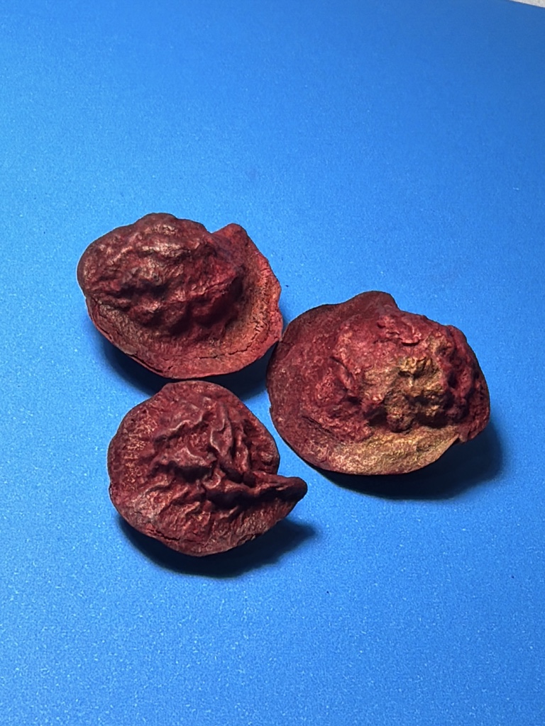 Fava Quebra Coração