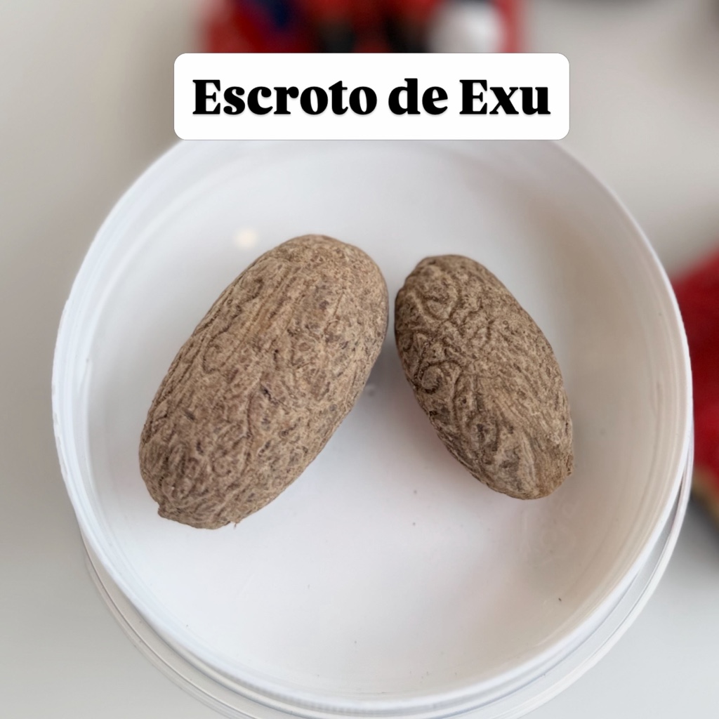 Escroto de Exu