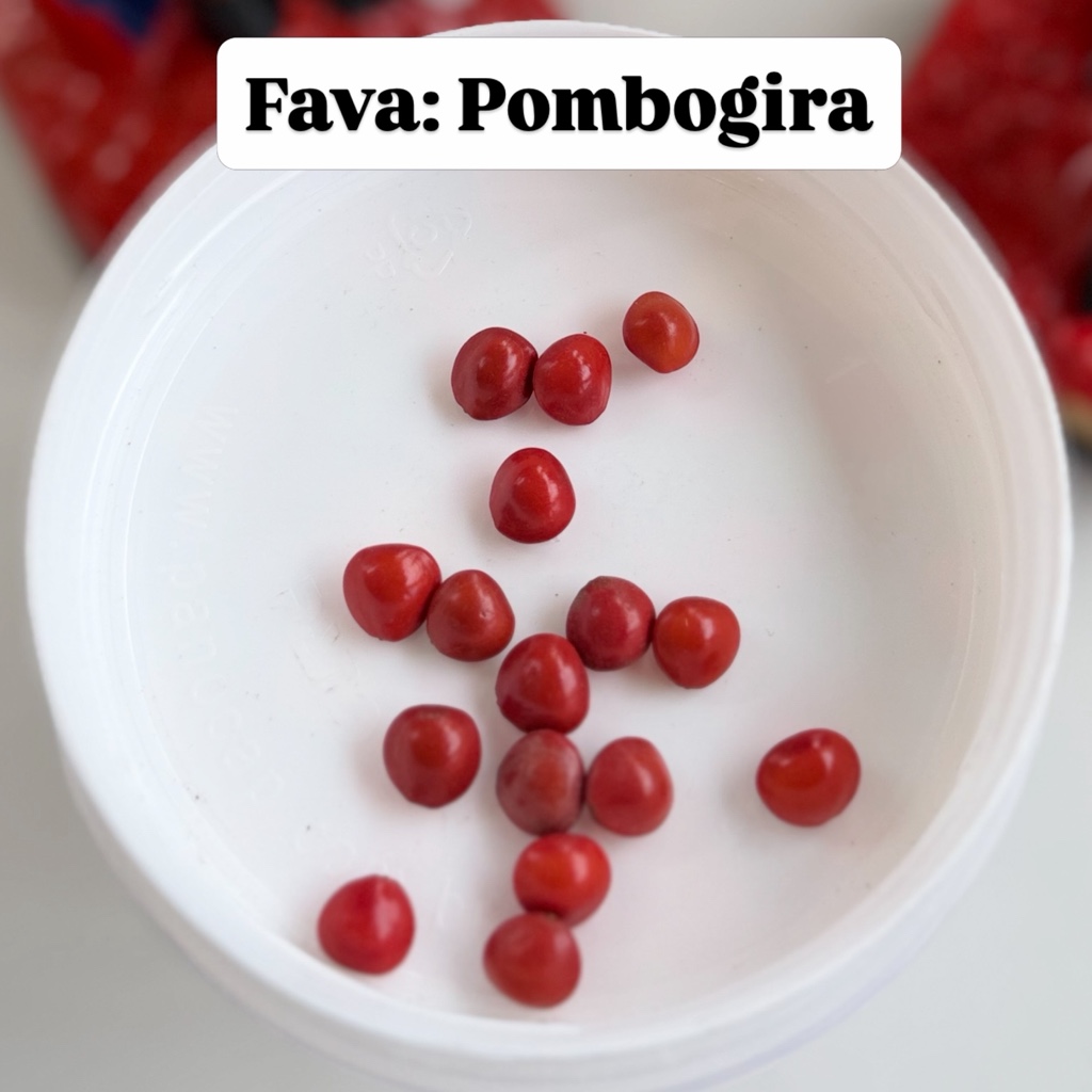 Fava da Pombogira