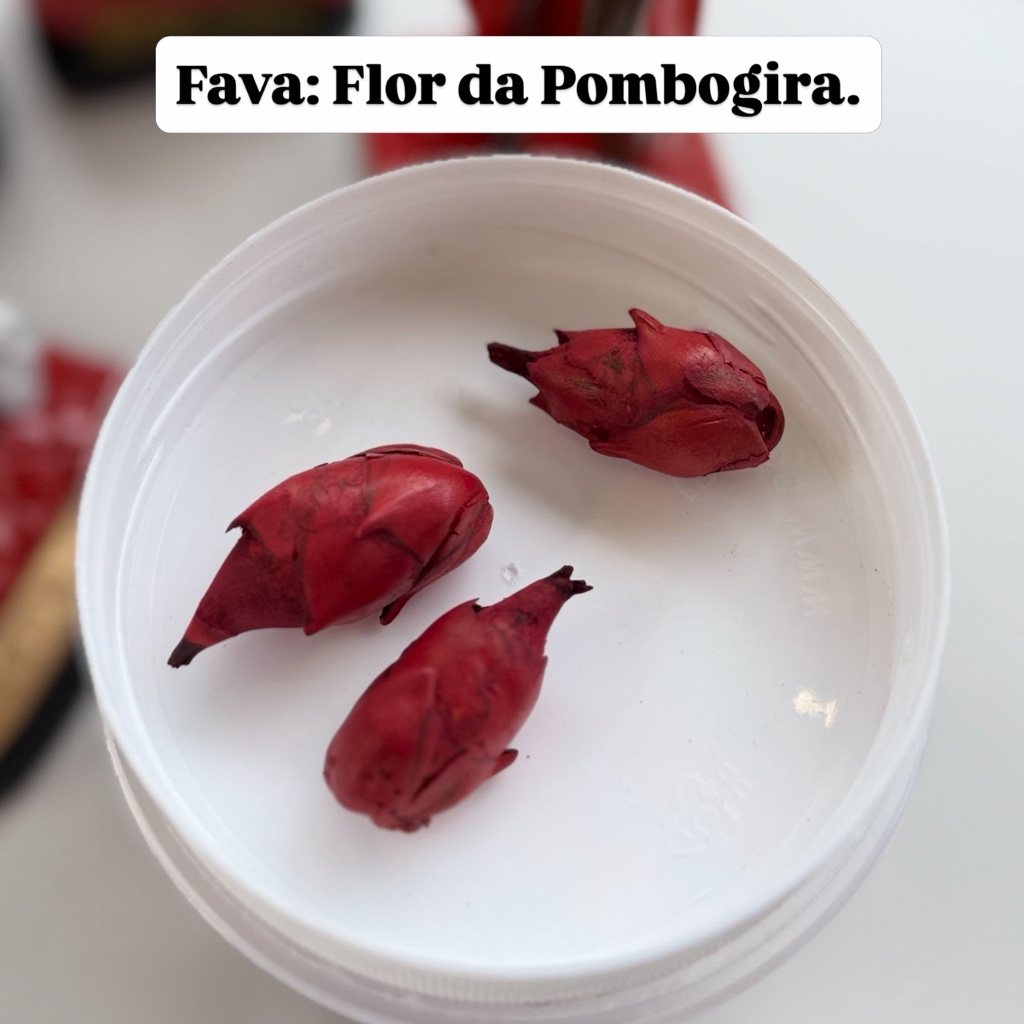 Flor da Pombagira Fava