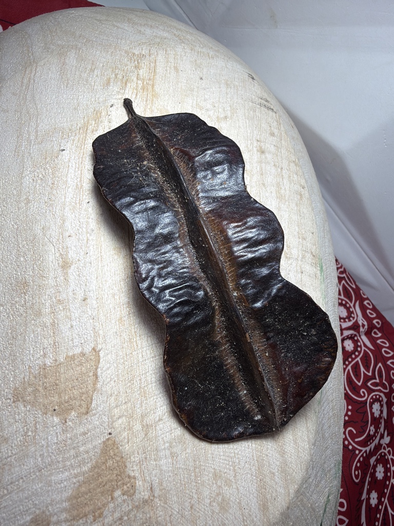 Fava de Aridan - Uni ( Média)