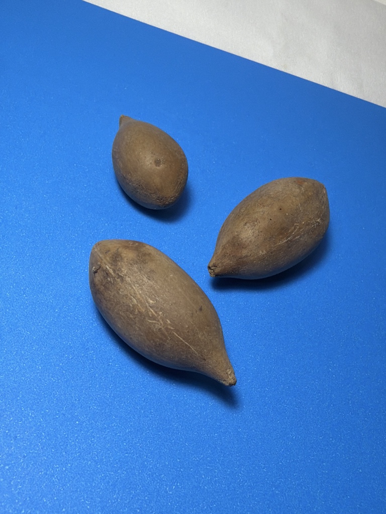 Fava de Ifá