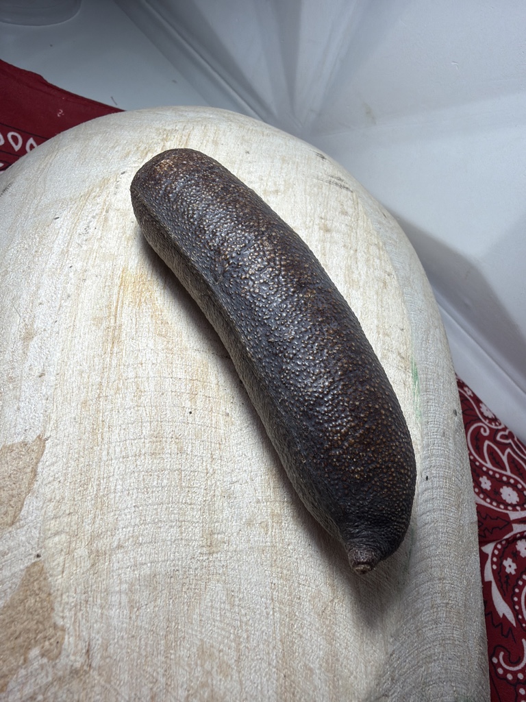Fava Jatobá - Uni
