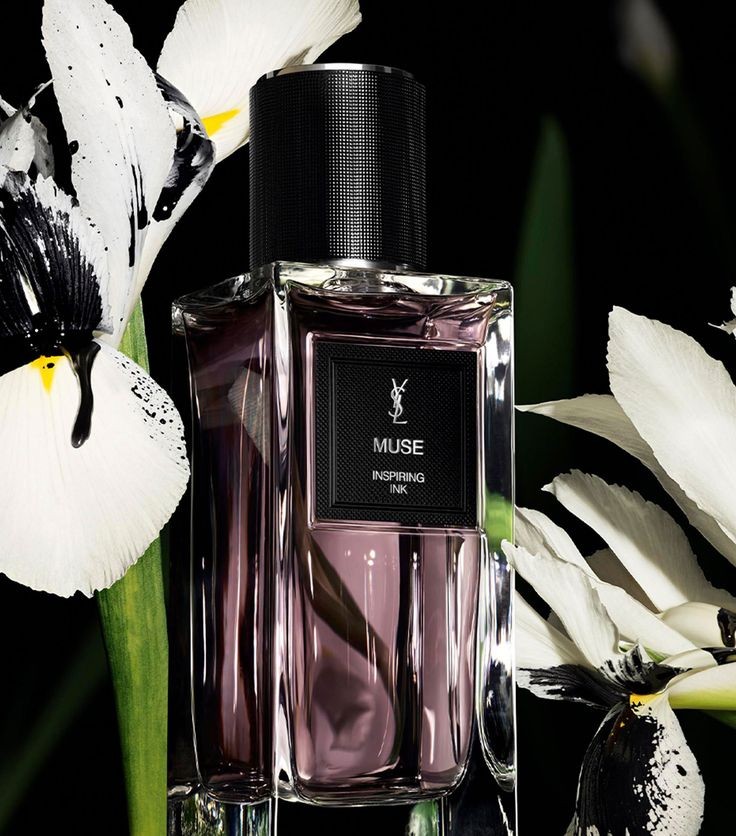 YSL Muse Ink perfume