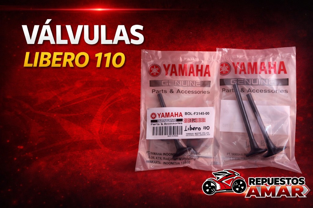 Kit valvulas Libero 110