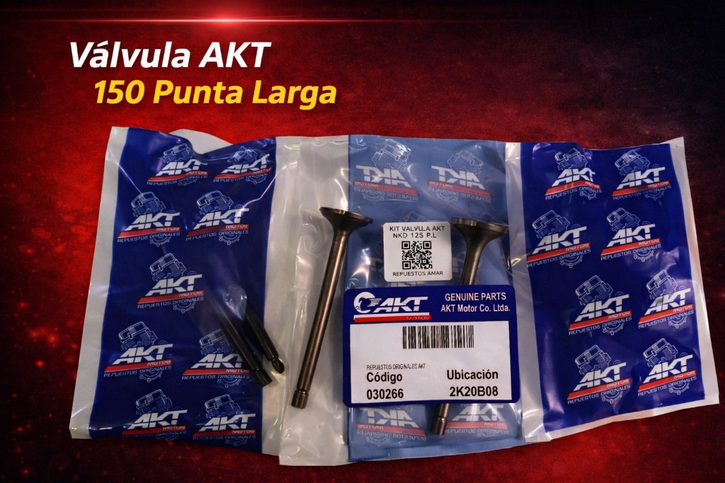 Kit  valvula AKT-125 NKD