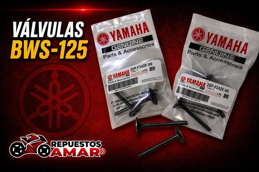 Kit válvulas BWS-125 (4valvulas