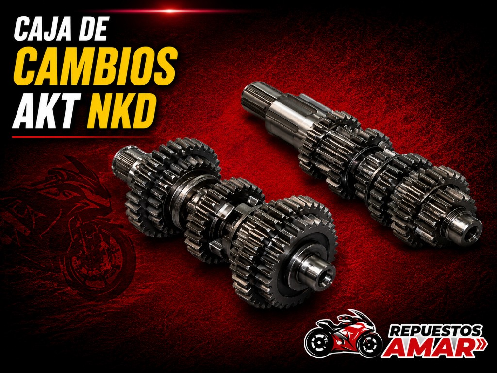 Caja de cambios AKT NKD