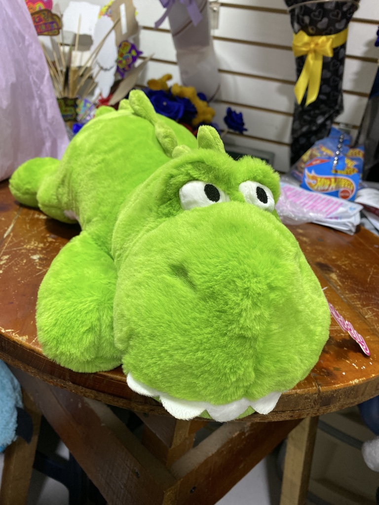 Cocodrilo acostado