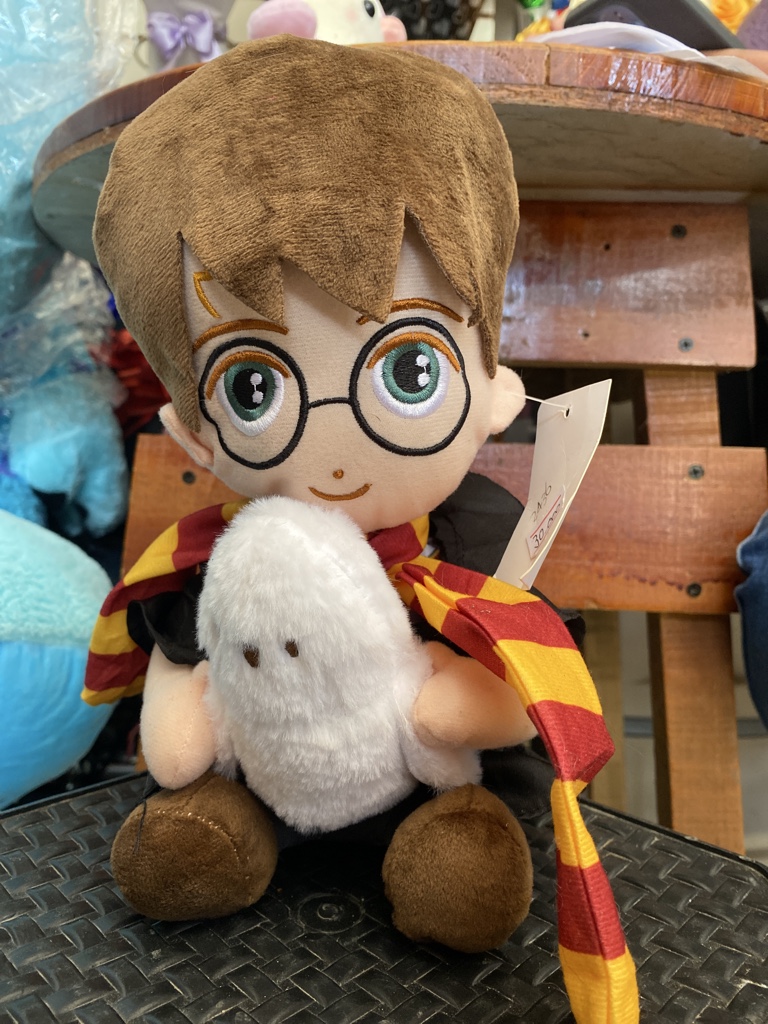 Harry Potter con lechuza