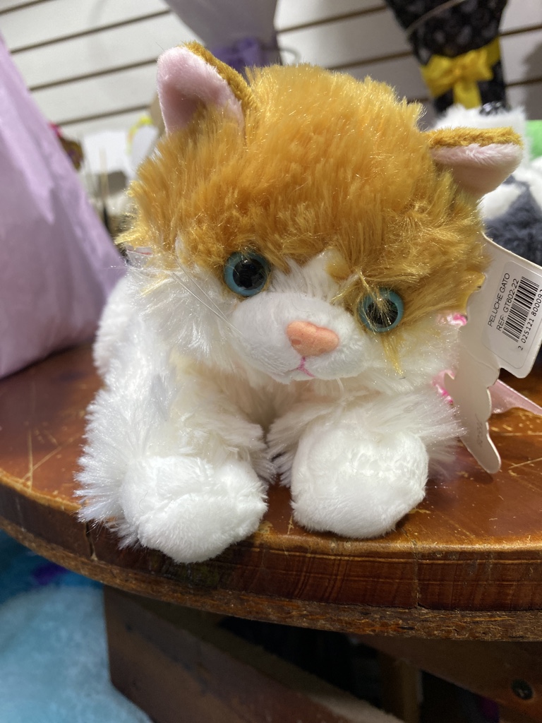 Gato listón rosa