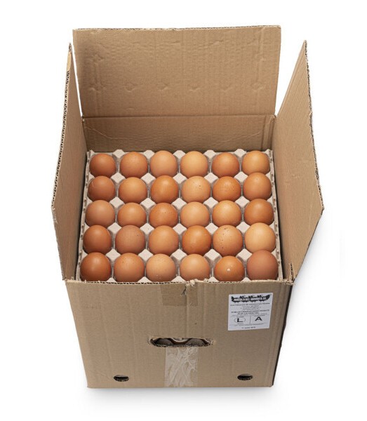 Caja de huevos (12 cartones)