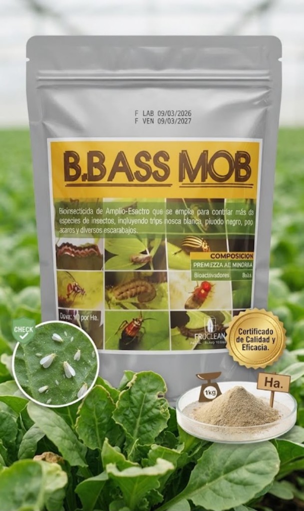 Bbass mob 500 gr