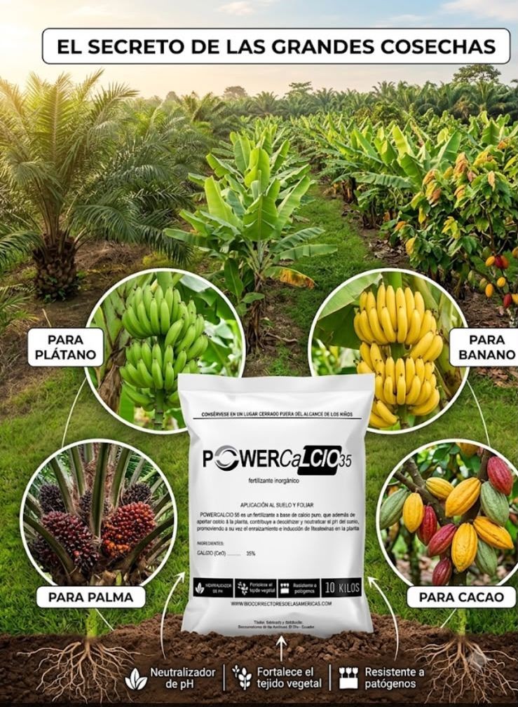 Powercalcio35