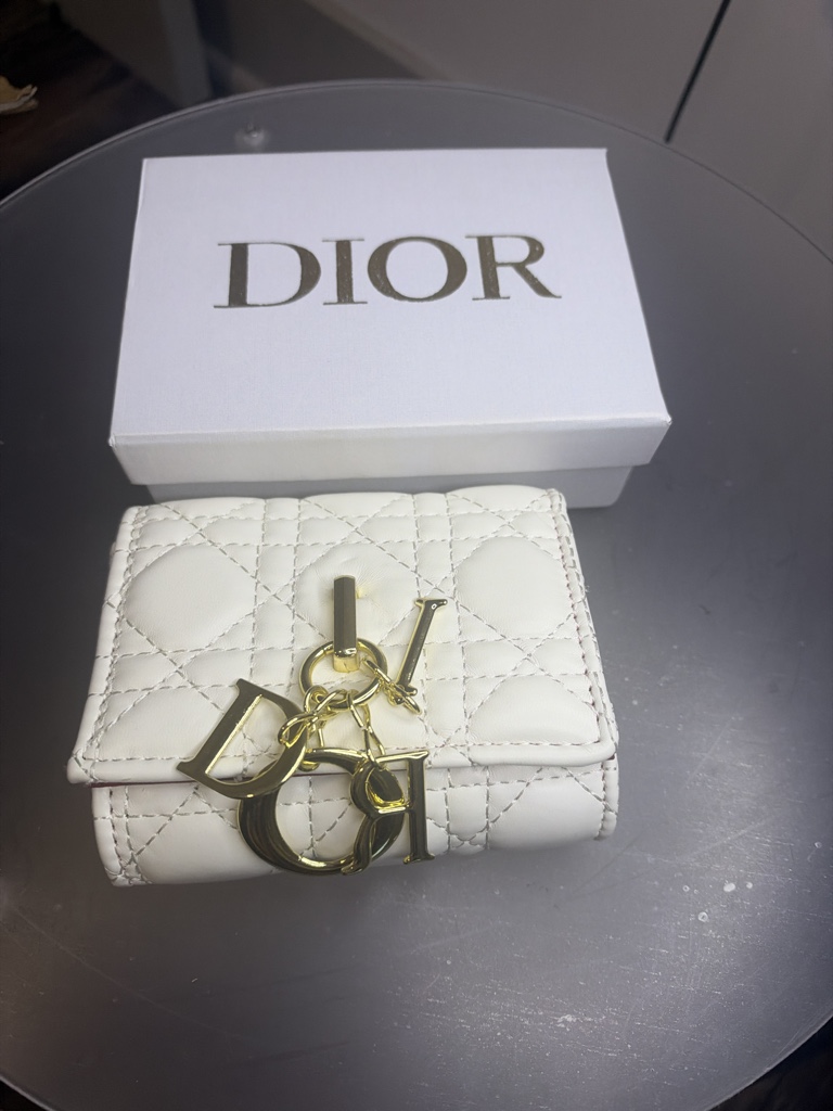 Billetera DIOR letras