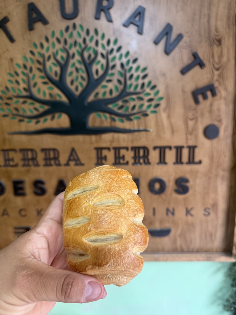 Roll de zarzamora