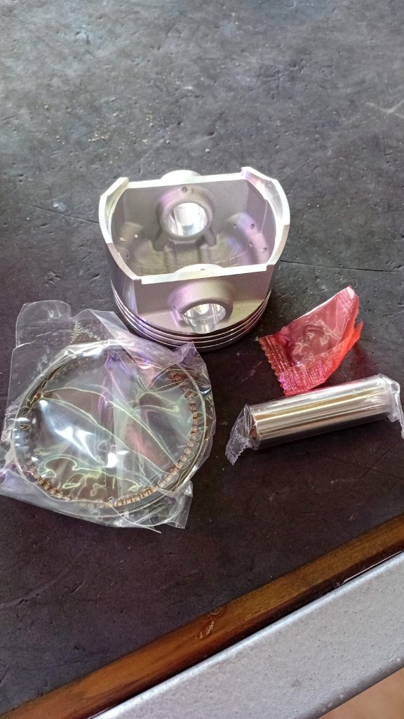 PISTON KIT 67MM SKUA/XPLORA 250-0.50
