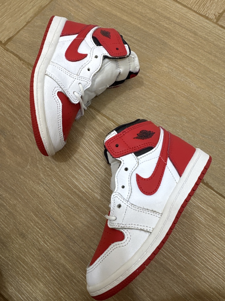 Jordan 1 Retro High OG Heritage (TD)
