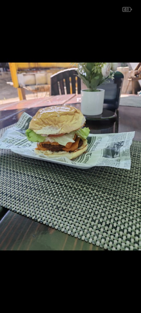 Hamburguesa sola