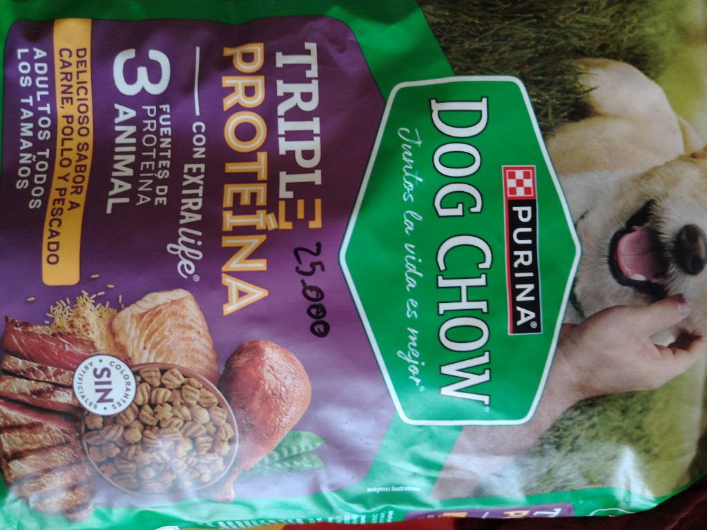 Dog chaw adulto