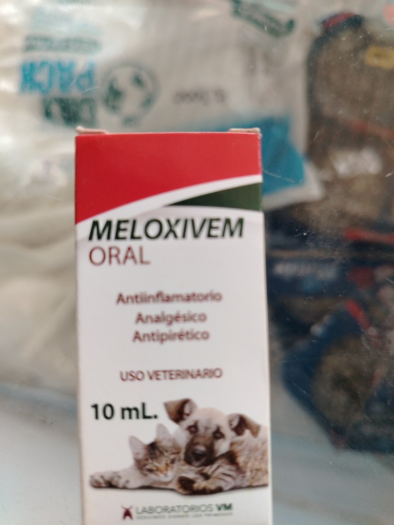 Meloxivem oral 10mL