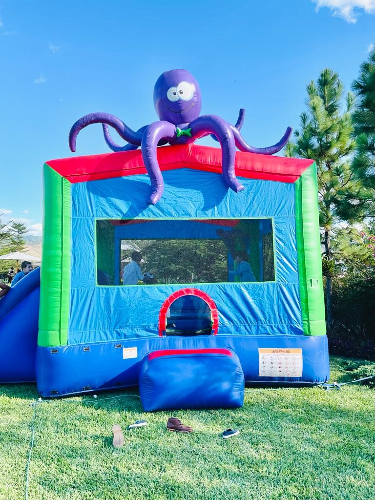 Inflable con agua y pelotas
