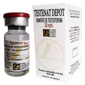 🇵🇾TESTENAT 4ml (Enantato 250mg/4ml)