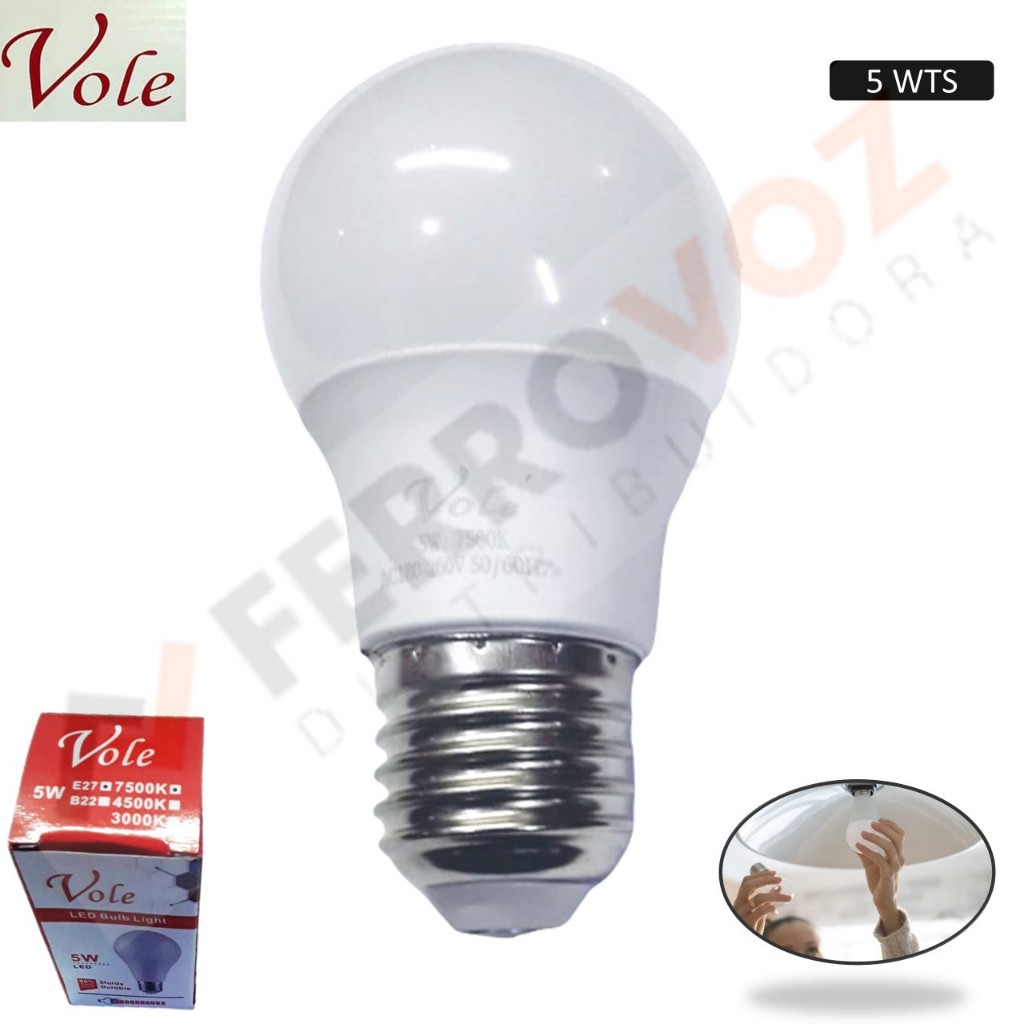 FOCO LED