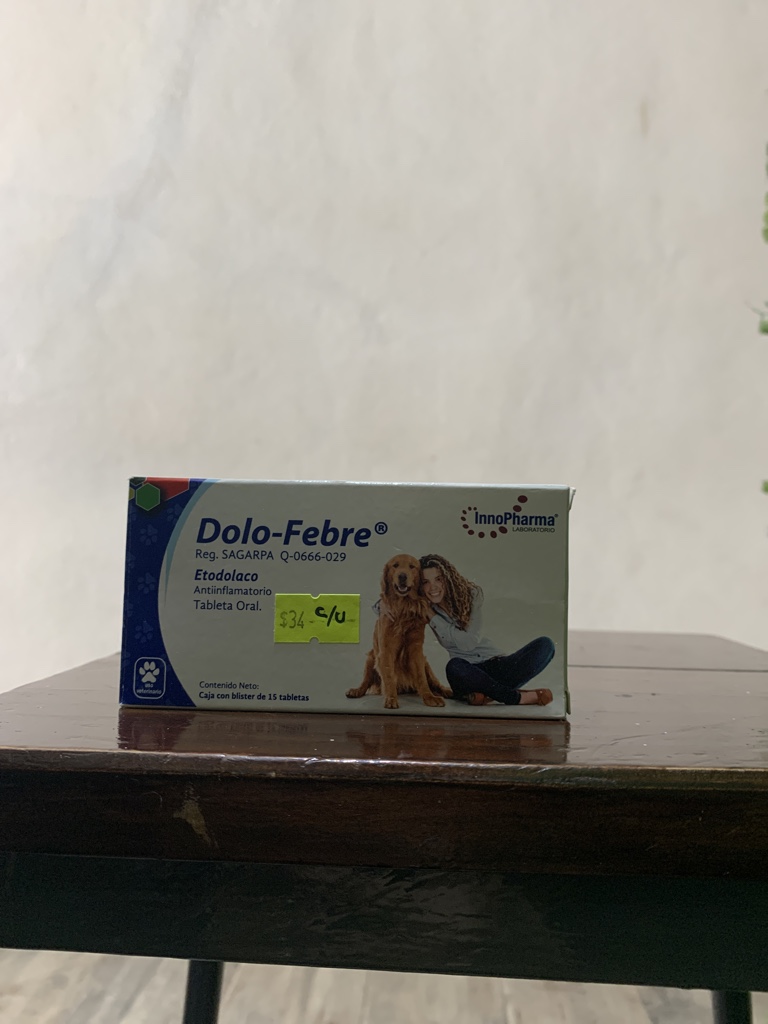 DOLO FEBRE