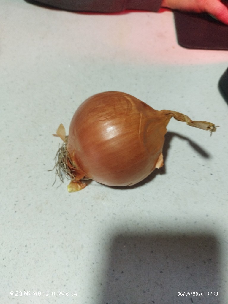 Cebolla