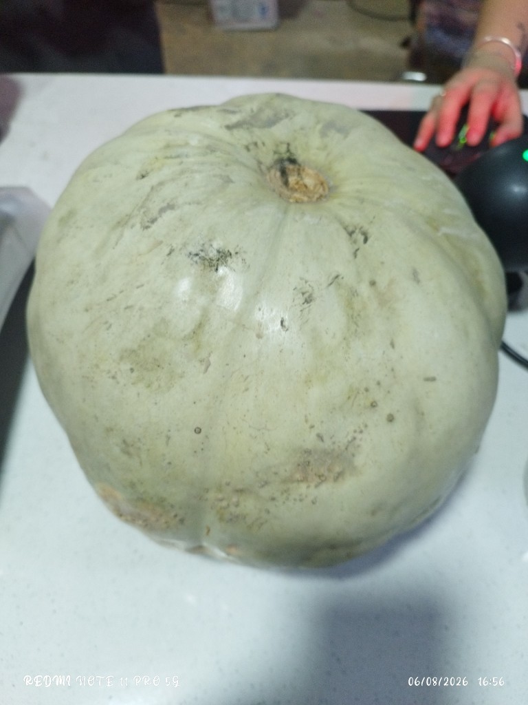 Zapallo camote verde